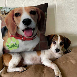 Personalized Pet Pillowcase, Custom Pillowcase with Picture, Home Decoration, Unique Home Decor, Funny Pillowcase, Birthday Gifts