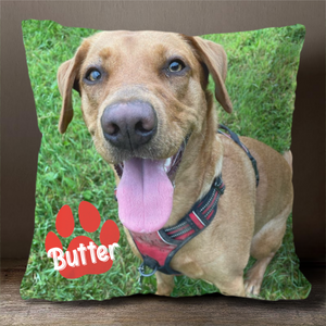 Personalized Pet Pillowcase, Custom Pillowcase with Picture, Home Decoration, Unique Home Decor, Funny Pillowcase, Birthday Gifts