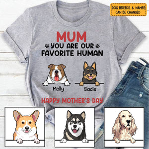 You Are My Favorite Human, Personalized Shirt, Gifts For Dog Lovers